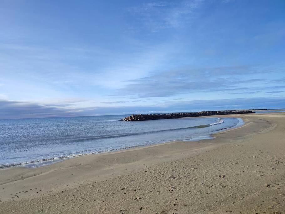 Sete : Charmant T3 Entre L'Etang Et Les Plages Dış mekan fotoğraf